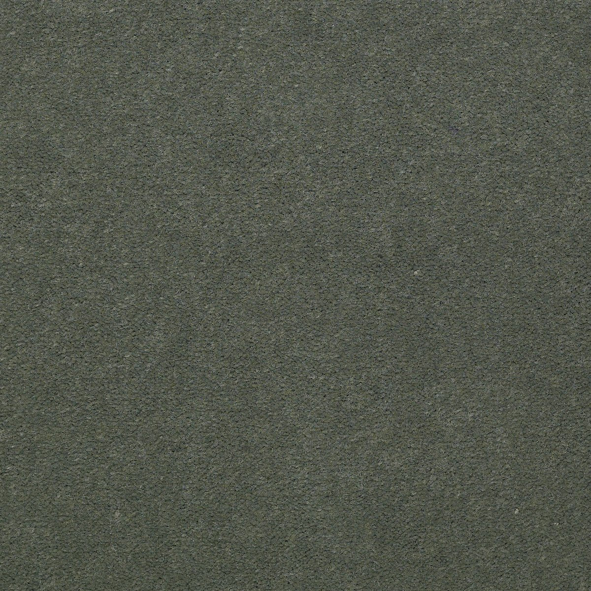 Emphatic II 30 Dried Sage 56341