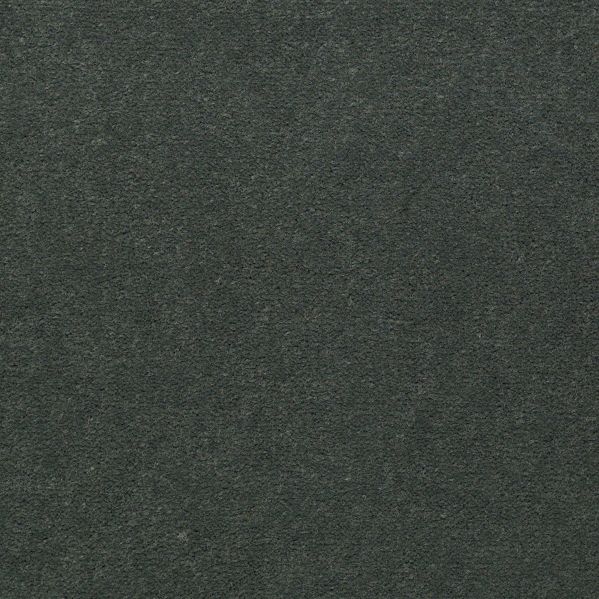 Emphatic II 30 Hedge 56340
