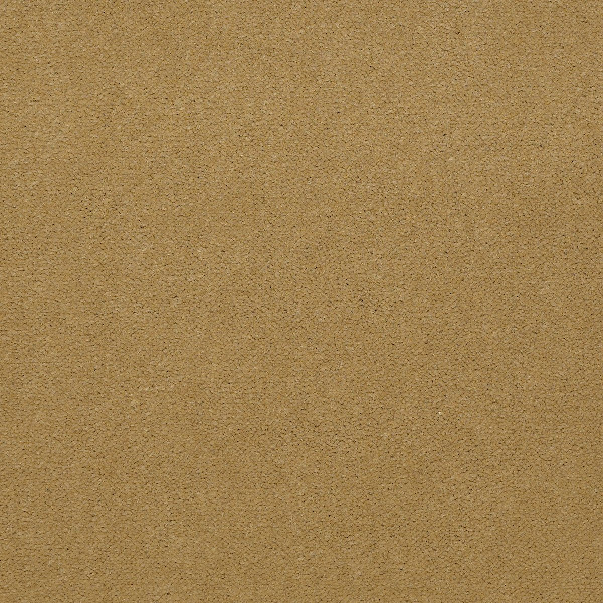 Emphatic II 30 Honeywheat 56243