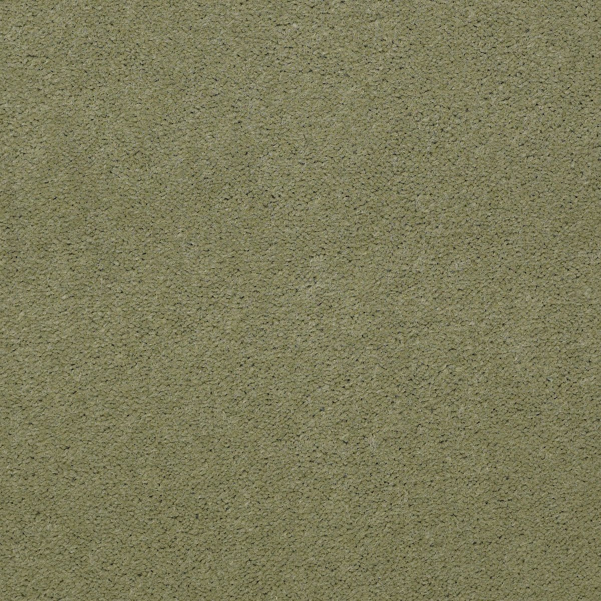 Emphatic II 30 Island Green 56370