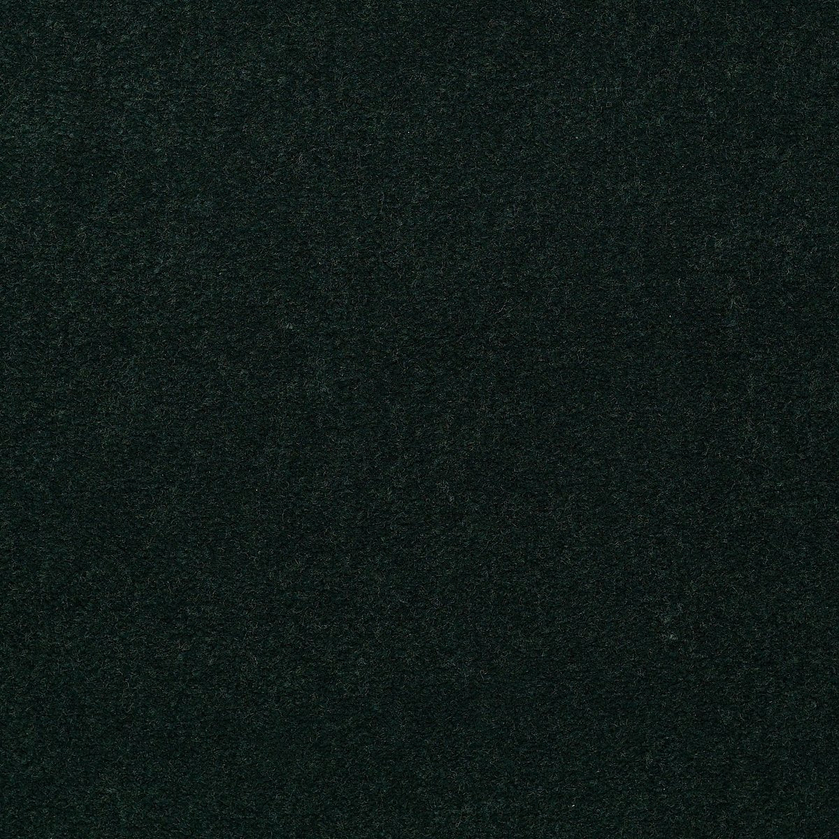 Emphatic II 30 Mountain Pine 56366