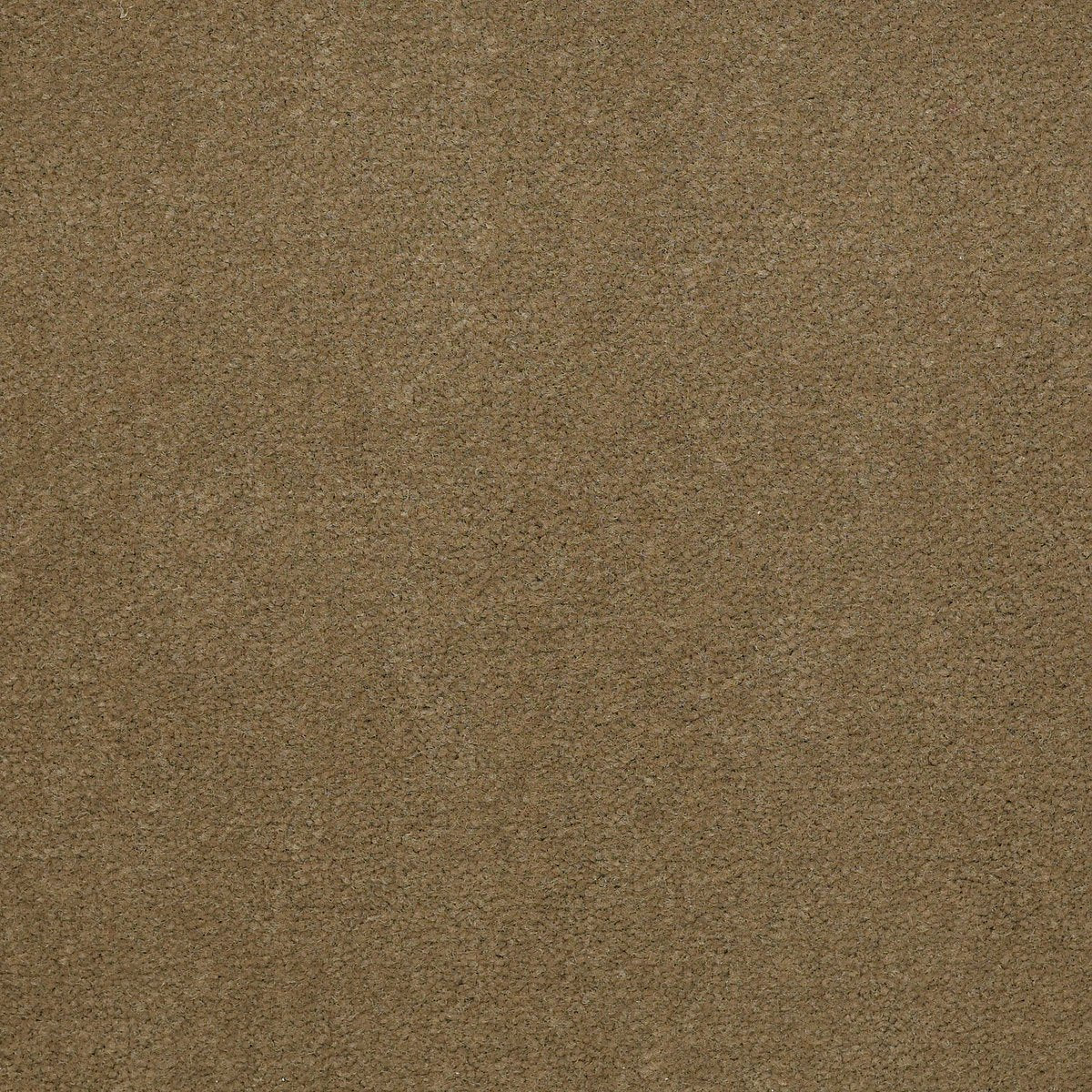 Emphatic II 30 Olive Twist 56755