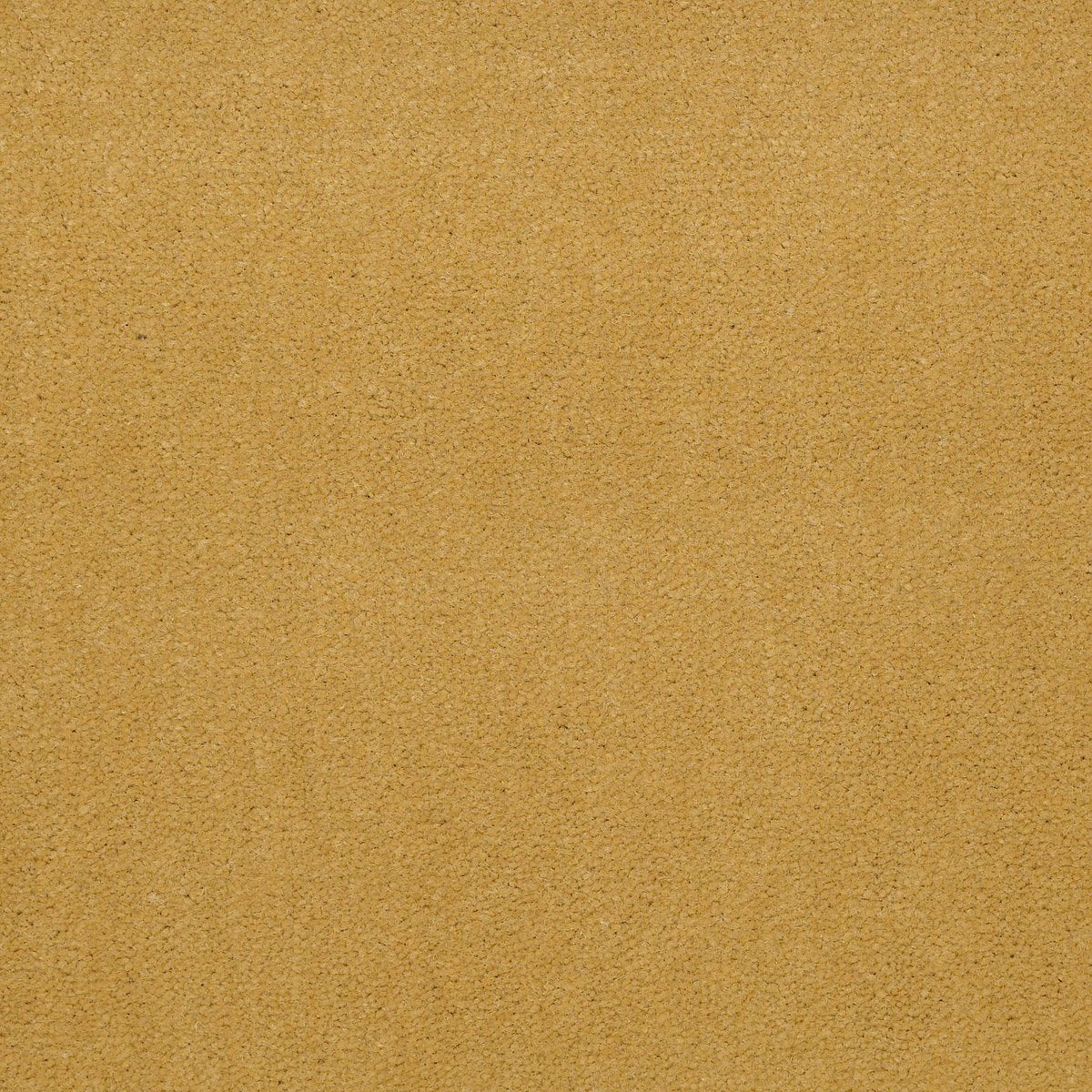 Emphatic II 30 Sunflower 56222