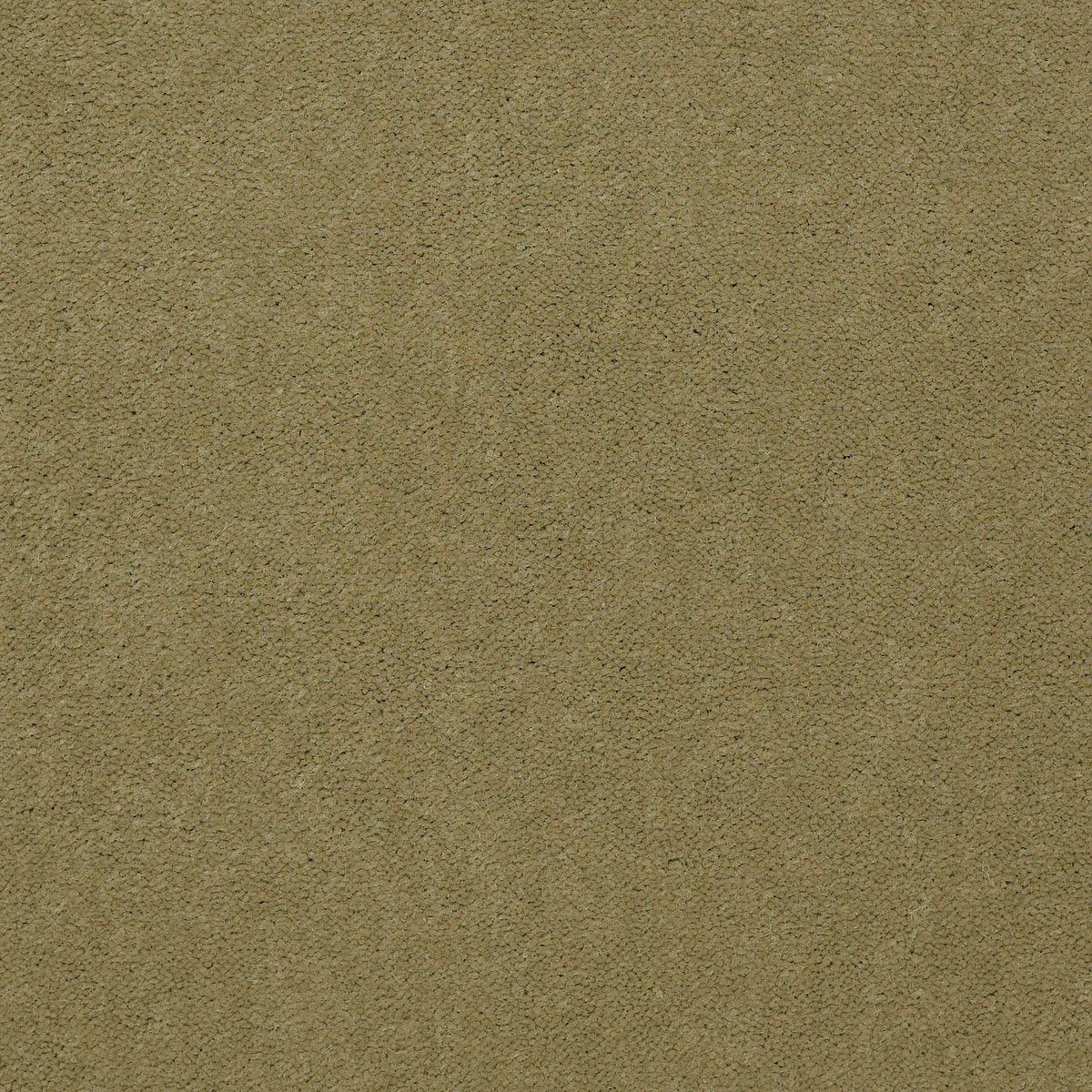 Emphatic II 30 Tea Green 56321