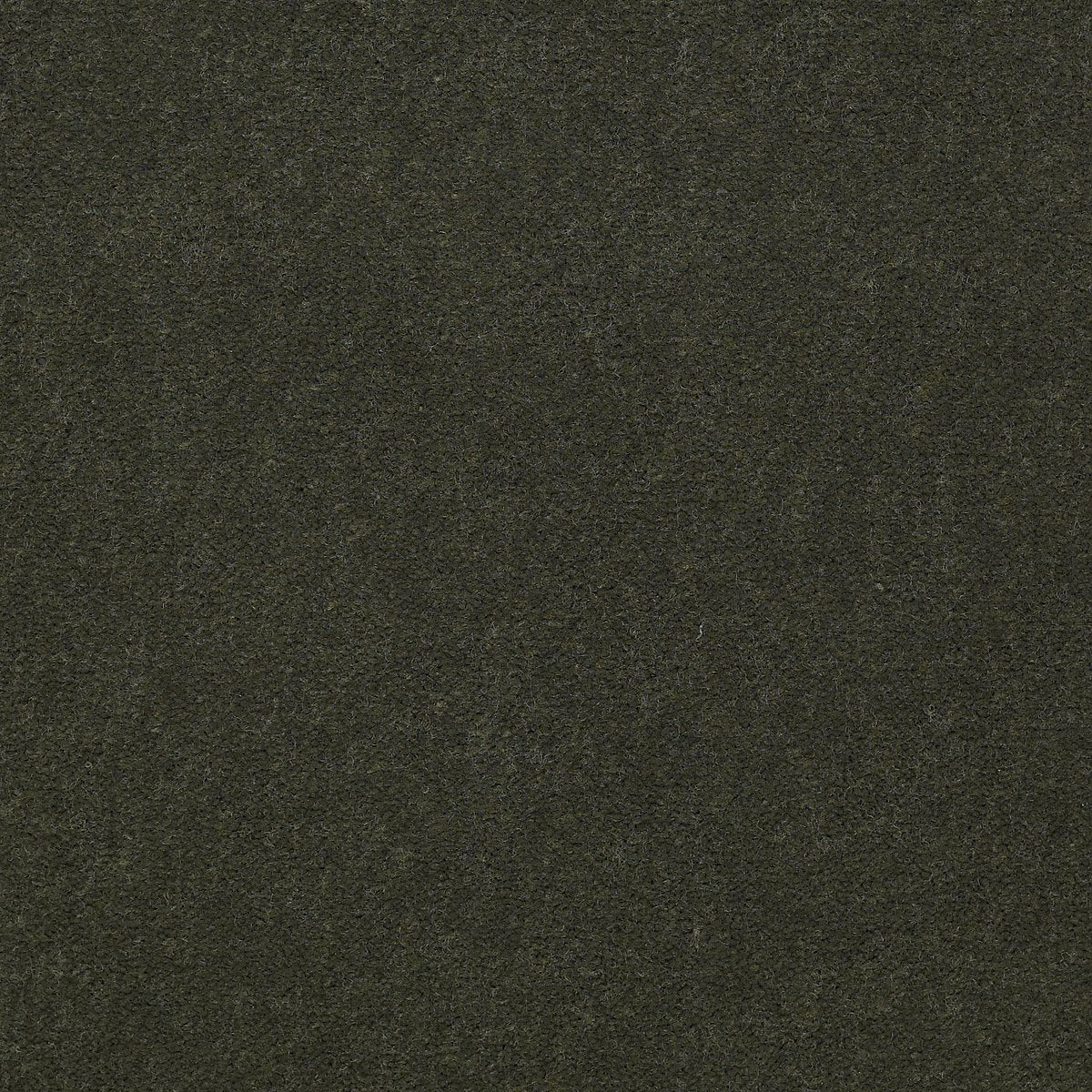 Emphatic II 30 Thyme 56314