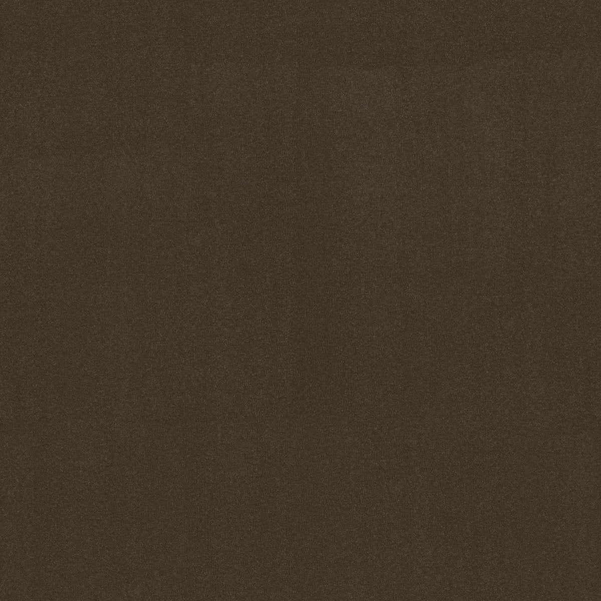 Emphatic II 36 Brocade 56710