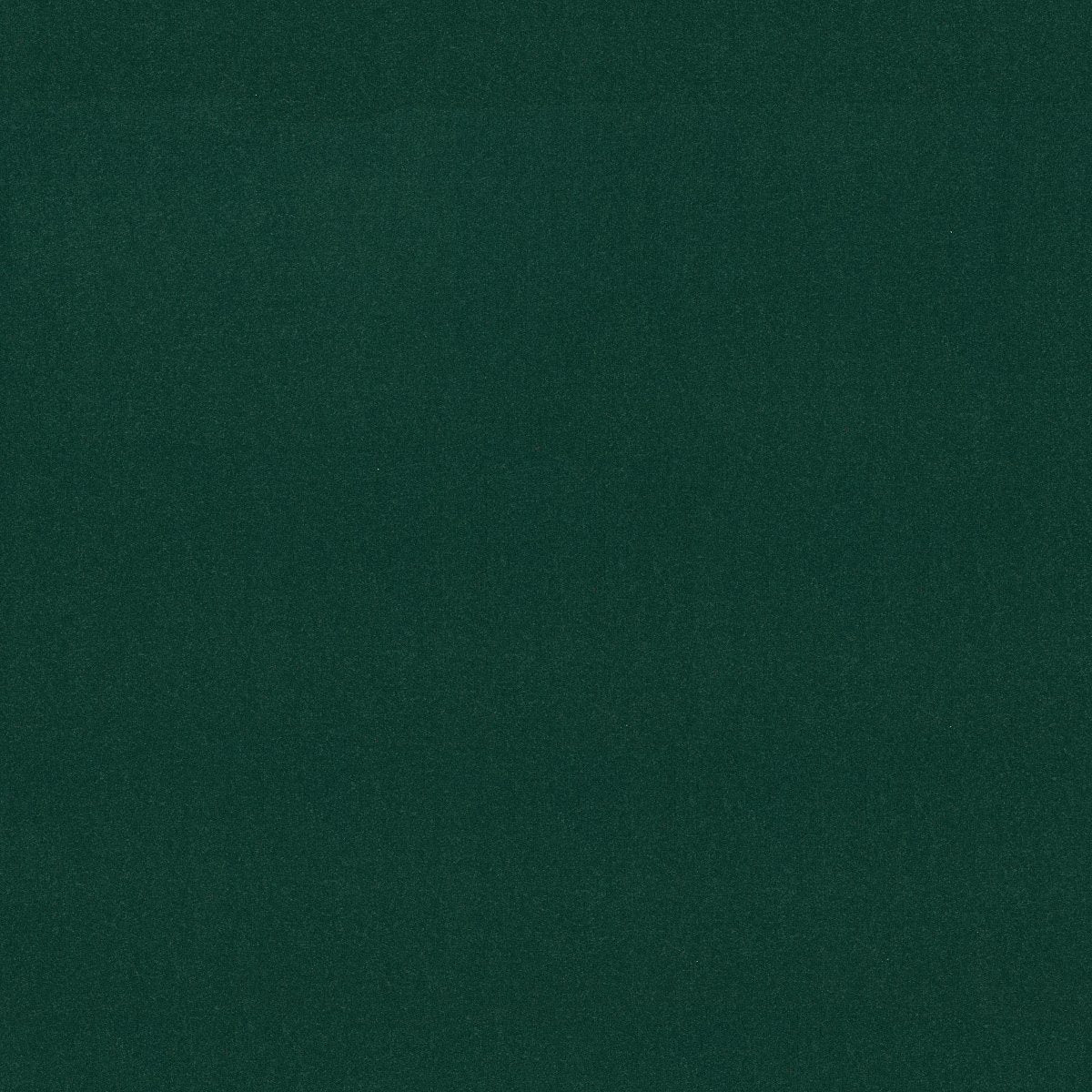 Emphatic II 36 Capri 56343