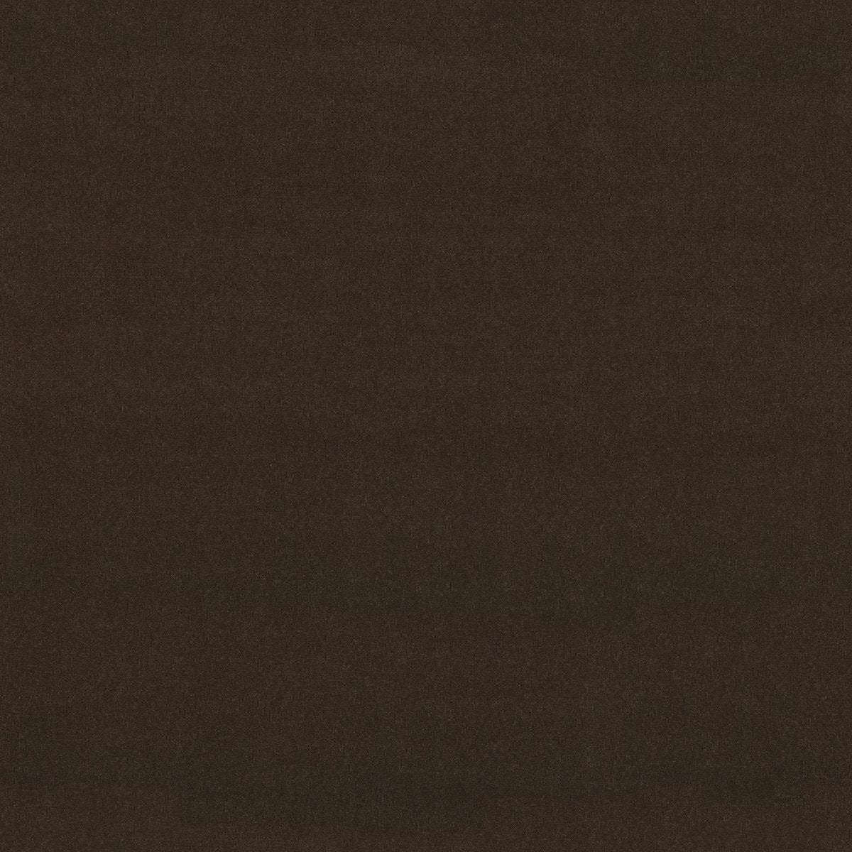 Emphatic II 36 Coffee Bean 56731