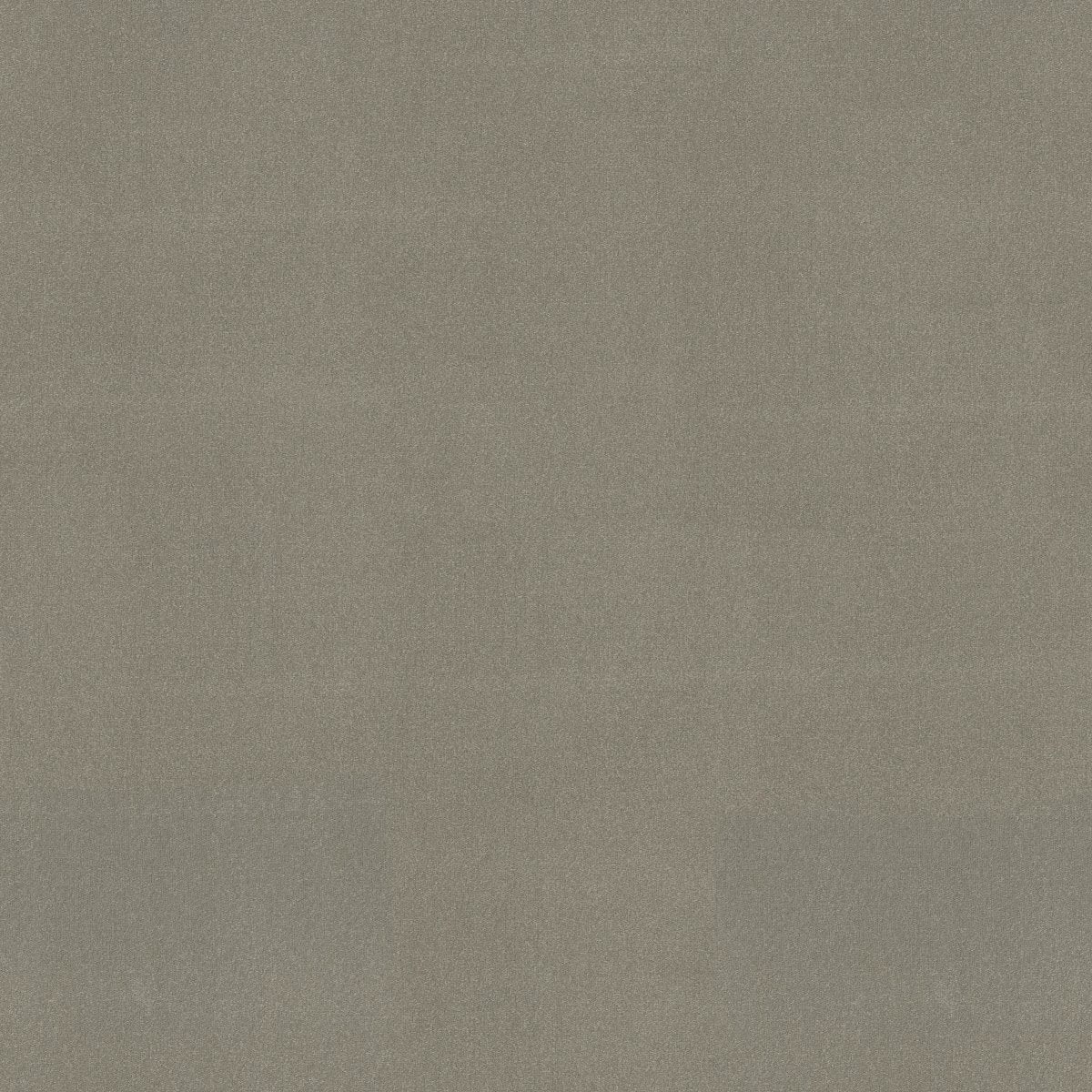 Emphatic II 36 Gray Hare 56510