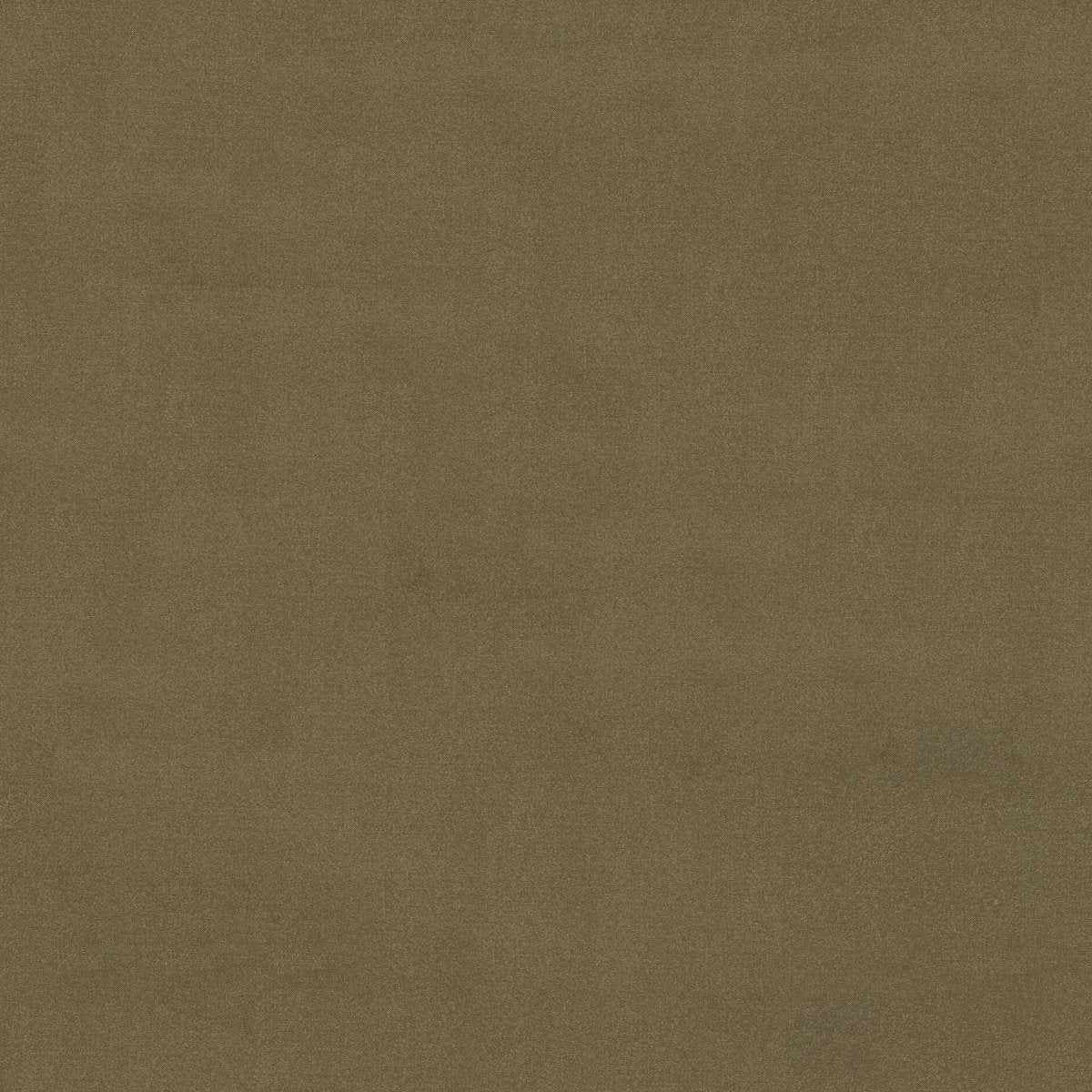 Emphatic II 36 Olive Twist 56755