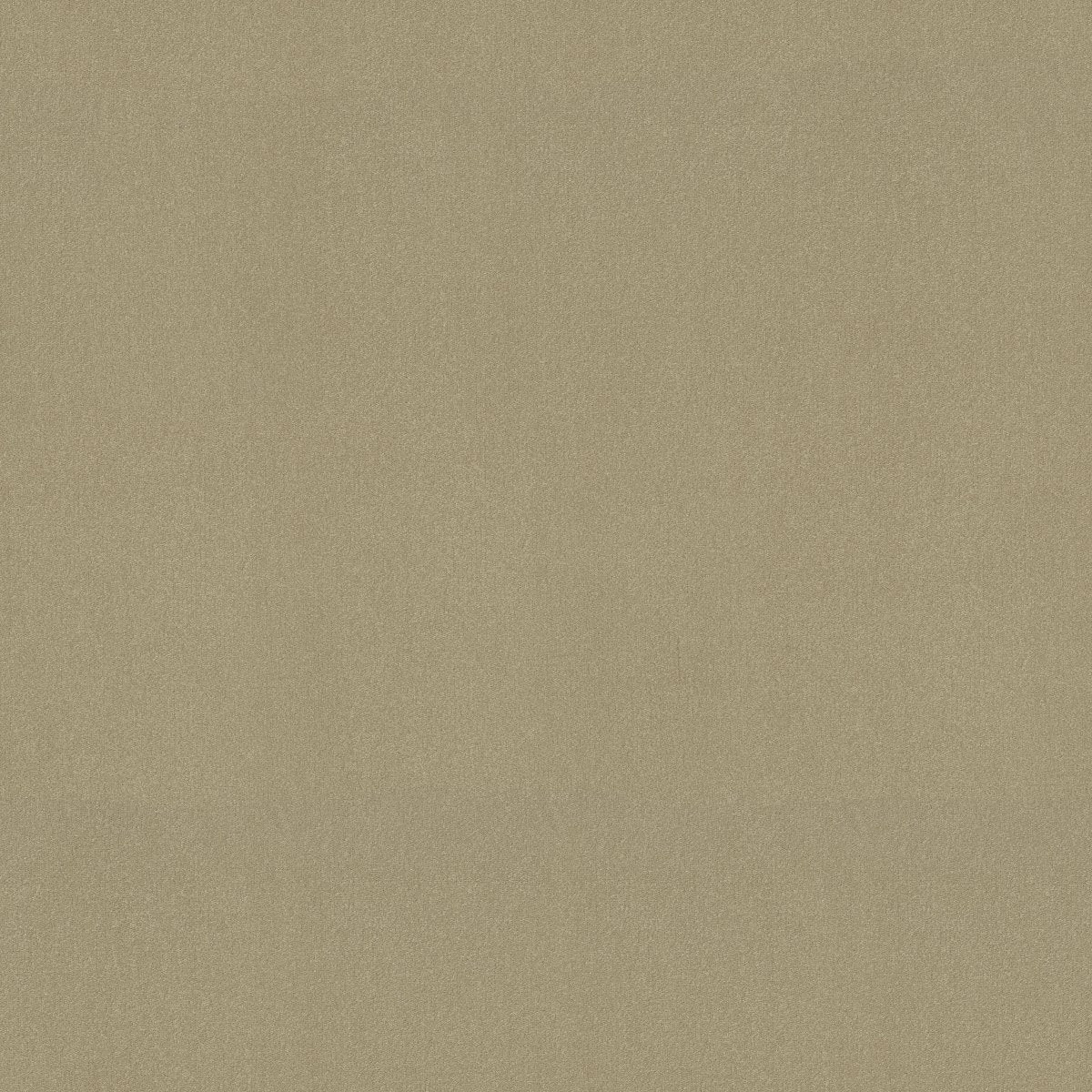 Emphatic II 36 Parchment 56120