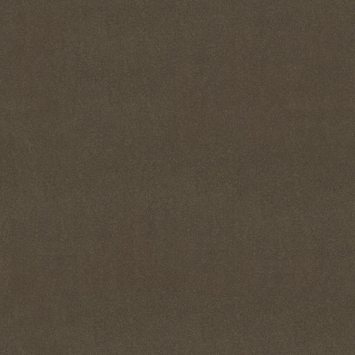 Emphatic II 36 Sandy Taupe 56595