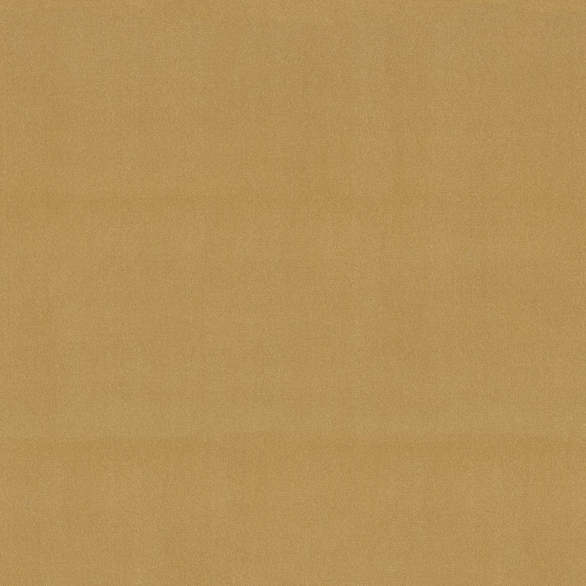 Emphatic II 36 Sunflower 56222