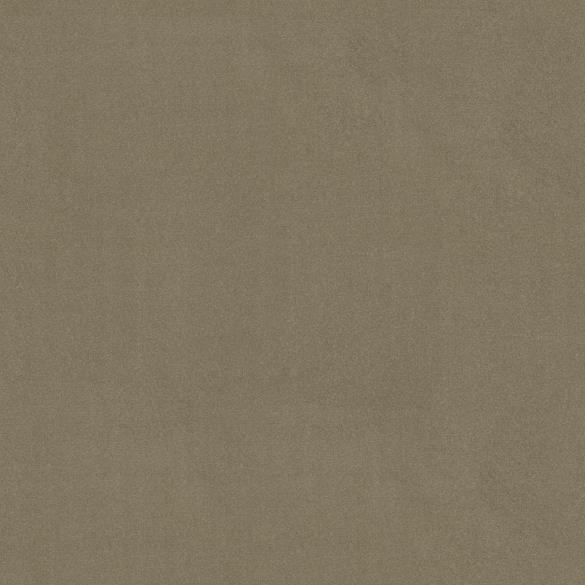 Emphatic II 36 Tea Green 56321