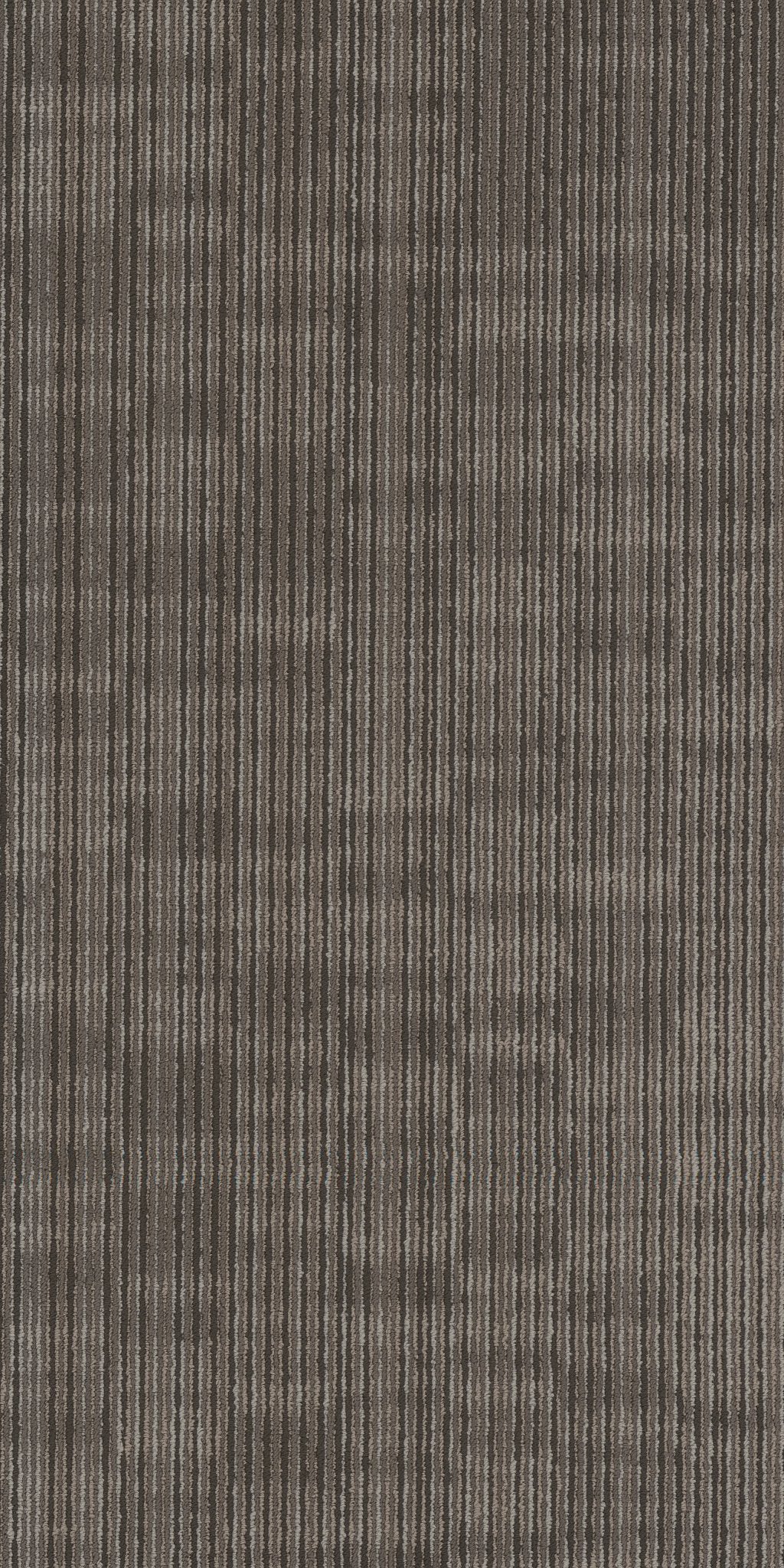 Encode Digital 00700
