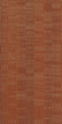 Encode Electro 00600