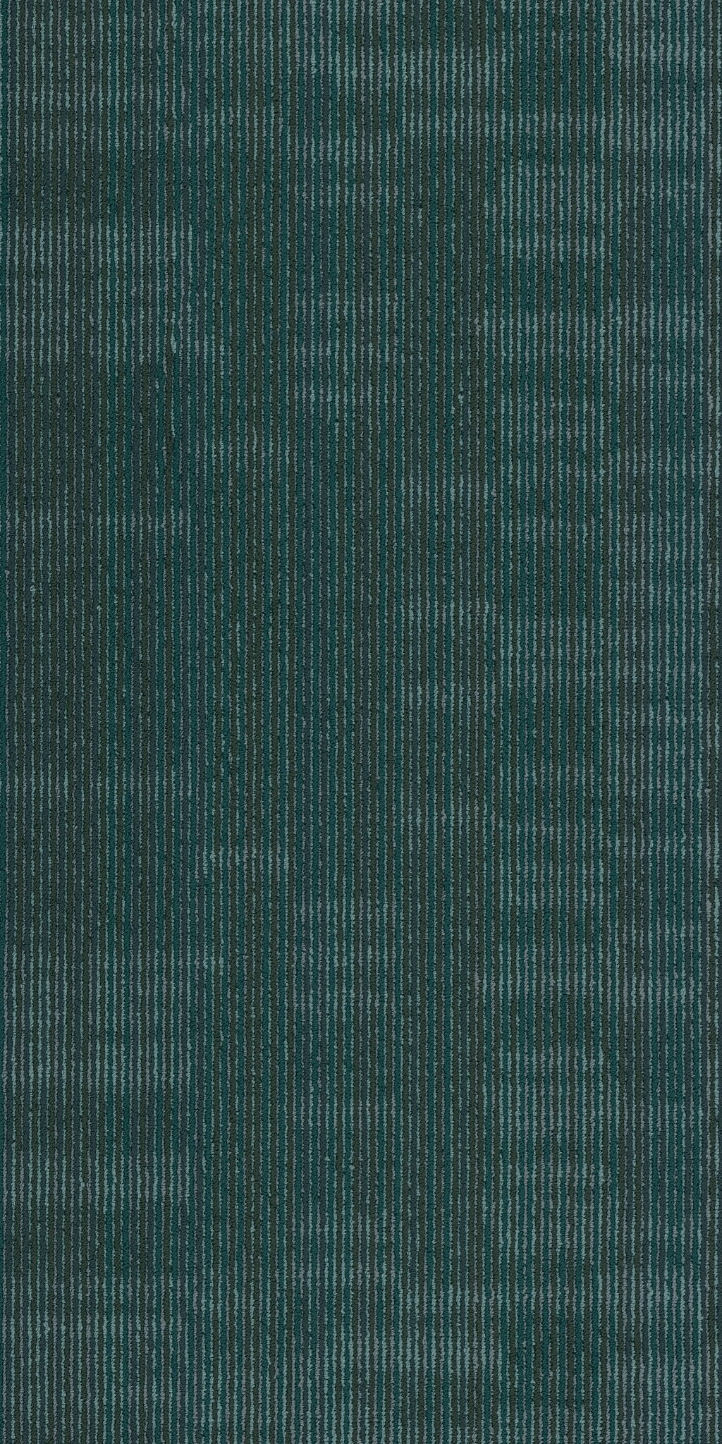 Encode Hologram 00300