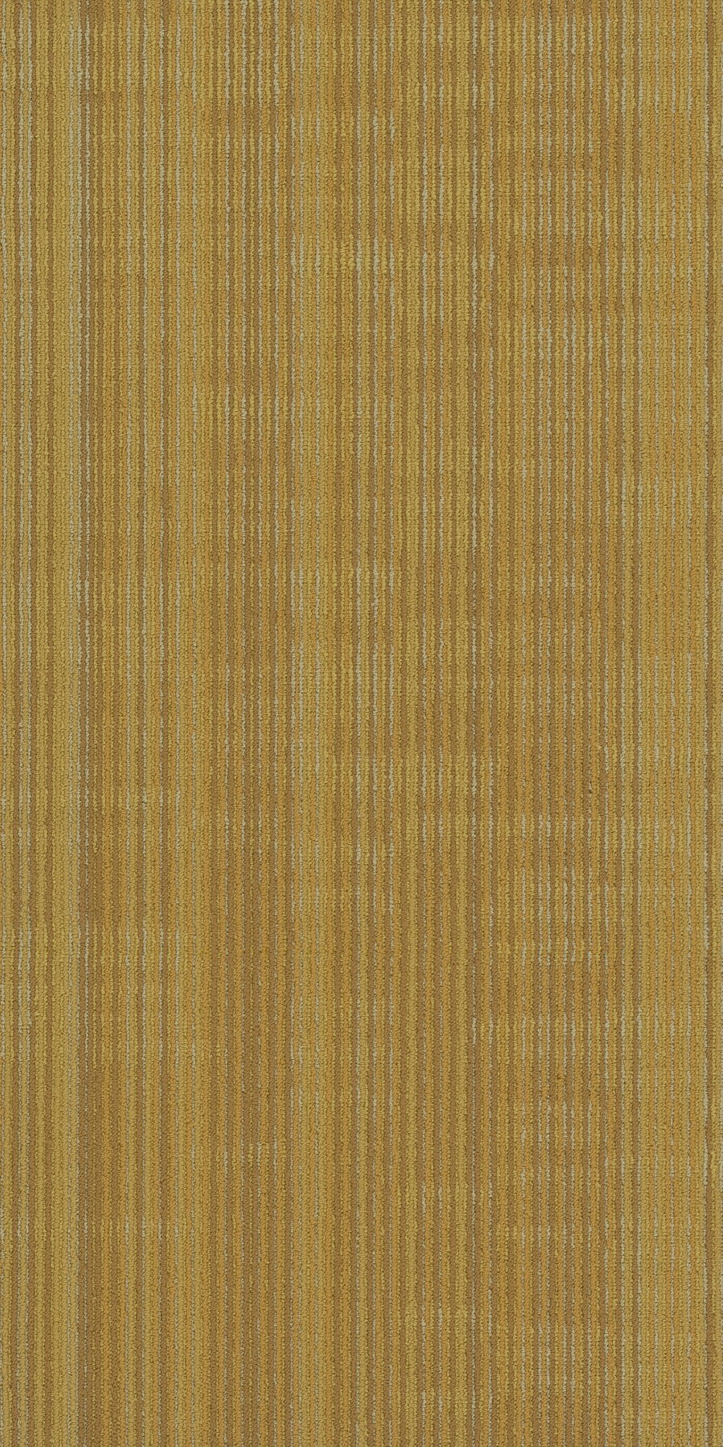 Encode Vector 00200