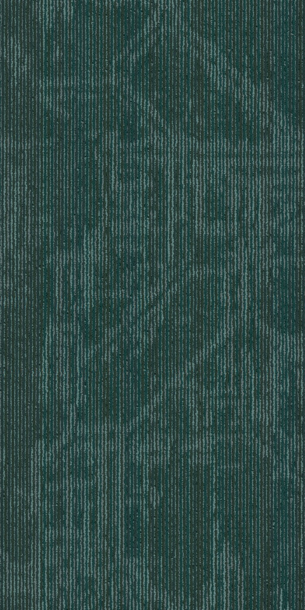 Encrypt Hologram 00300