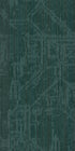 Encrypt Hologram 00300