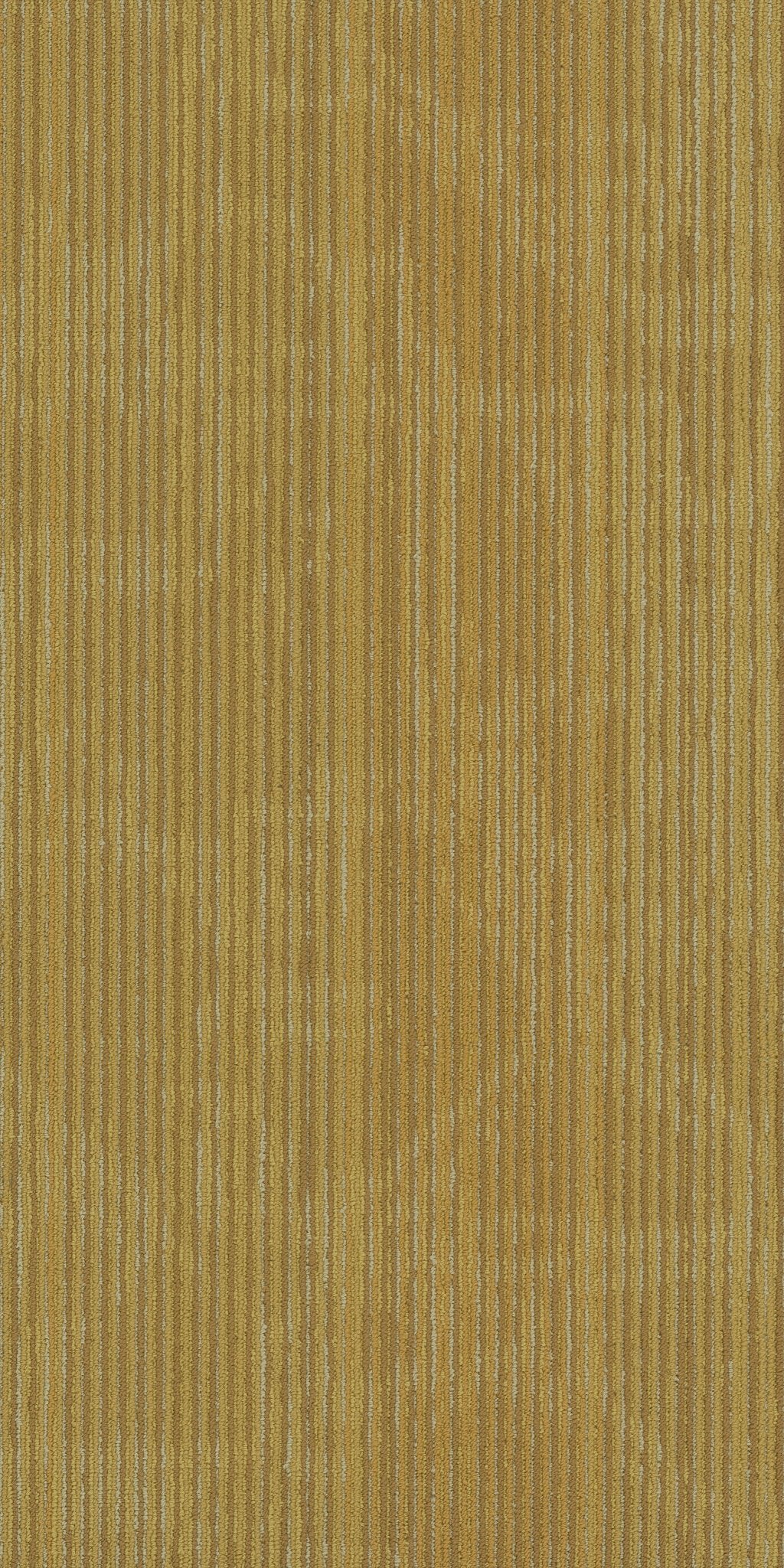 Encrypt Vector 00200