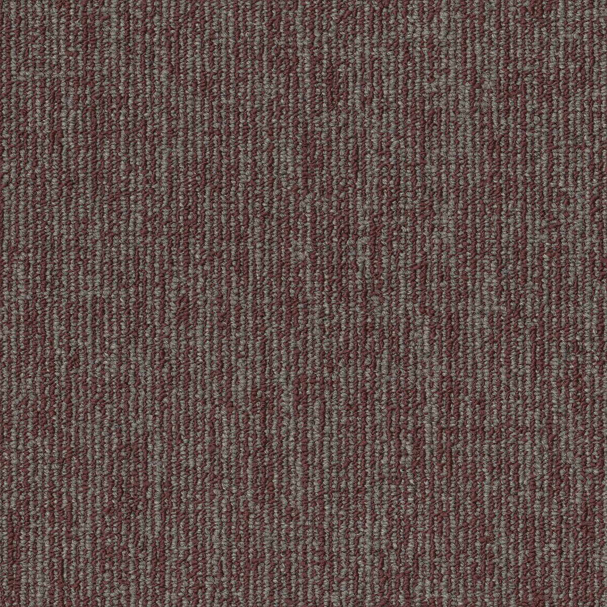 Engrain Central 00800