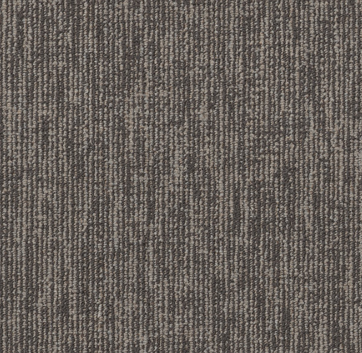 Engrain Organic 00505