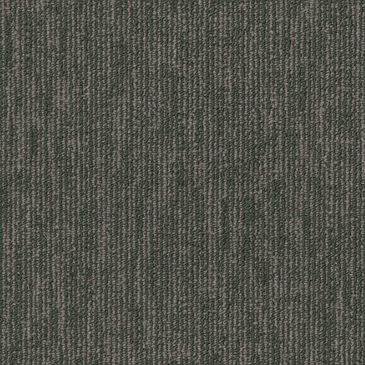 Engrain Primitive 00300