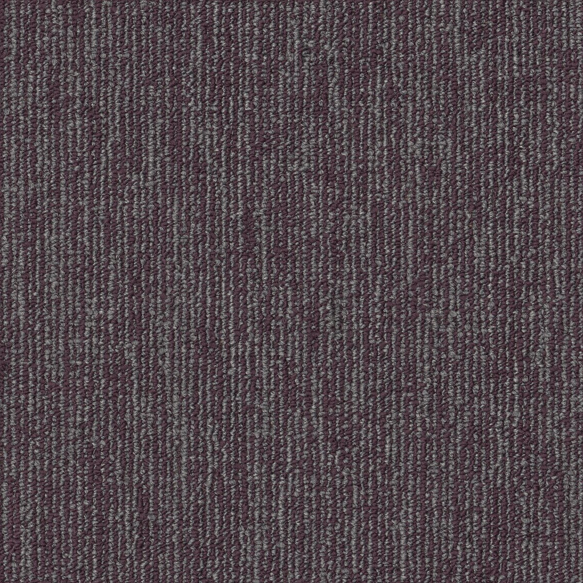 Engrain Principle 00900