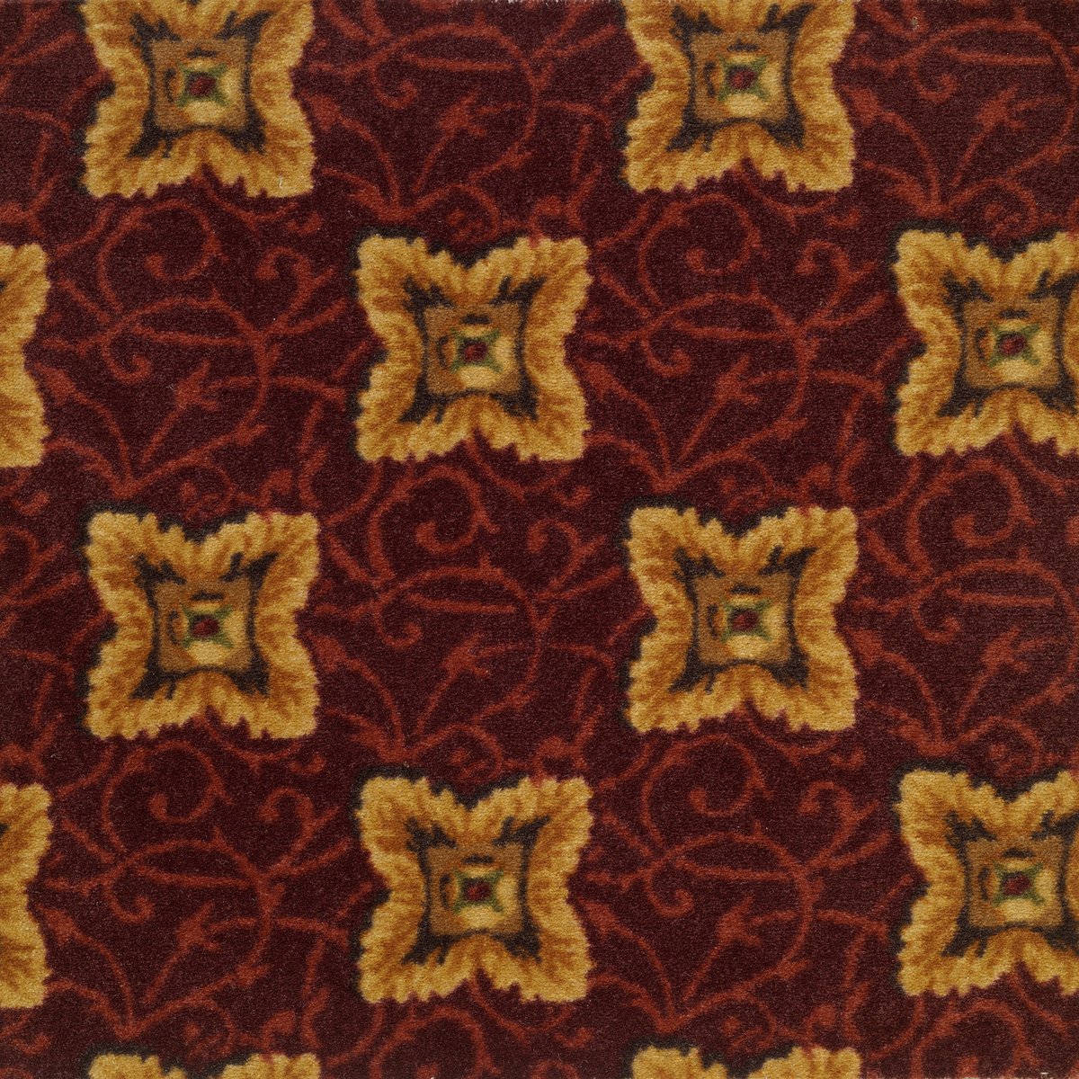 Expected Guest Cremona 15850