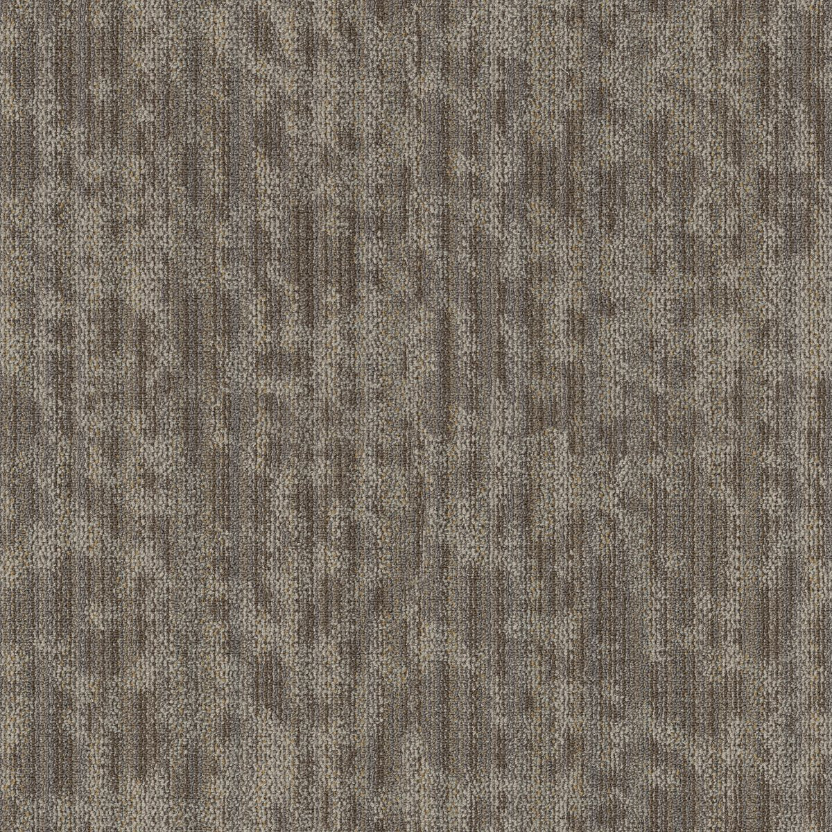 Folium Haven 00130