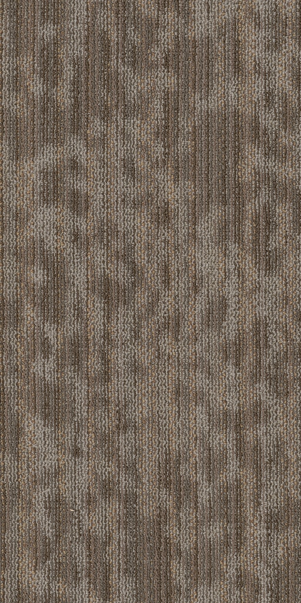 Folium TL Canopy 00710