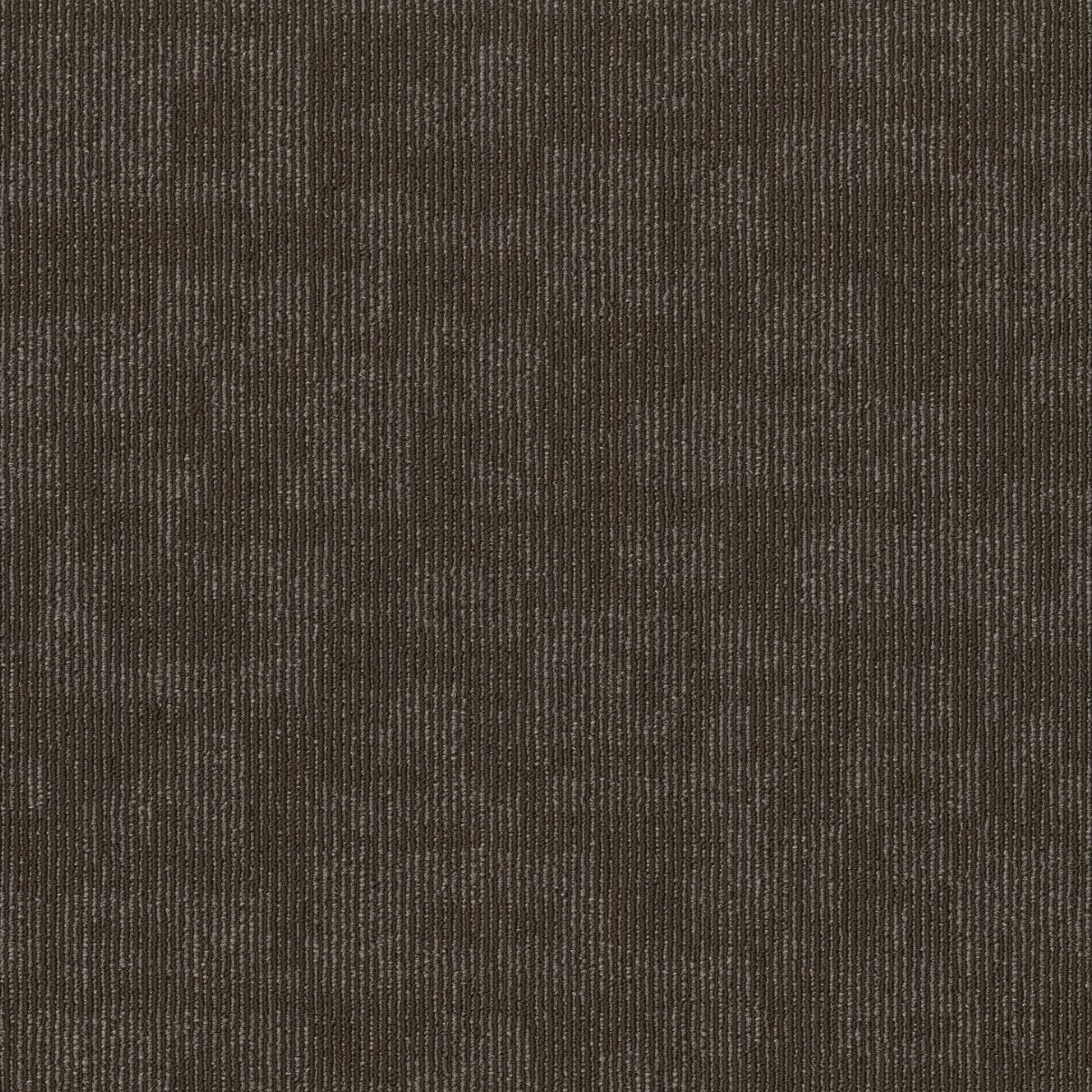 Forma Comparison 00705