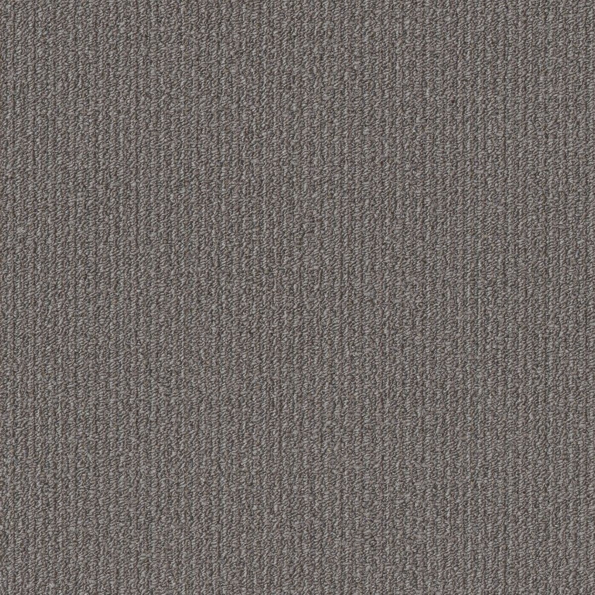 Format Composition 50500