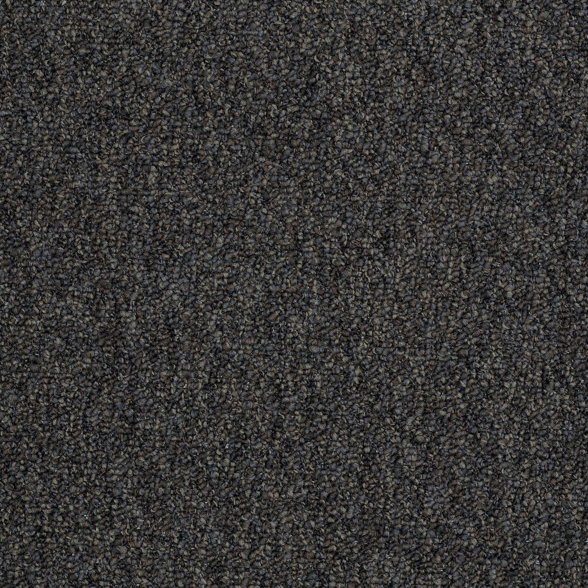 Franchise II 26 Black Diamond 00501