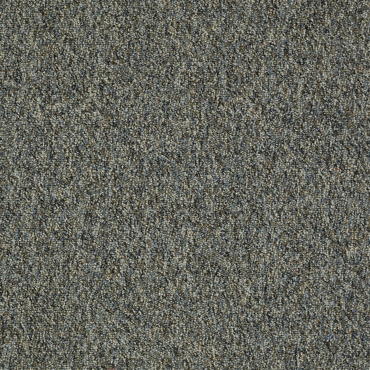 Franchise II 26 Bridle Path 00420