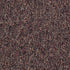 Franchise II 26 Henna Spice 00875