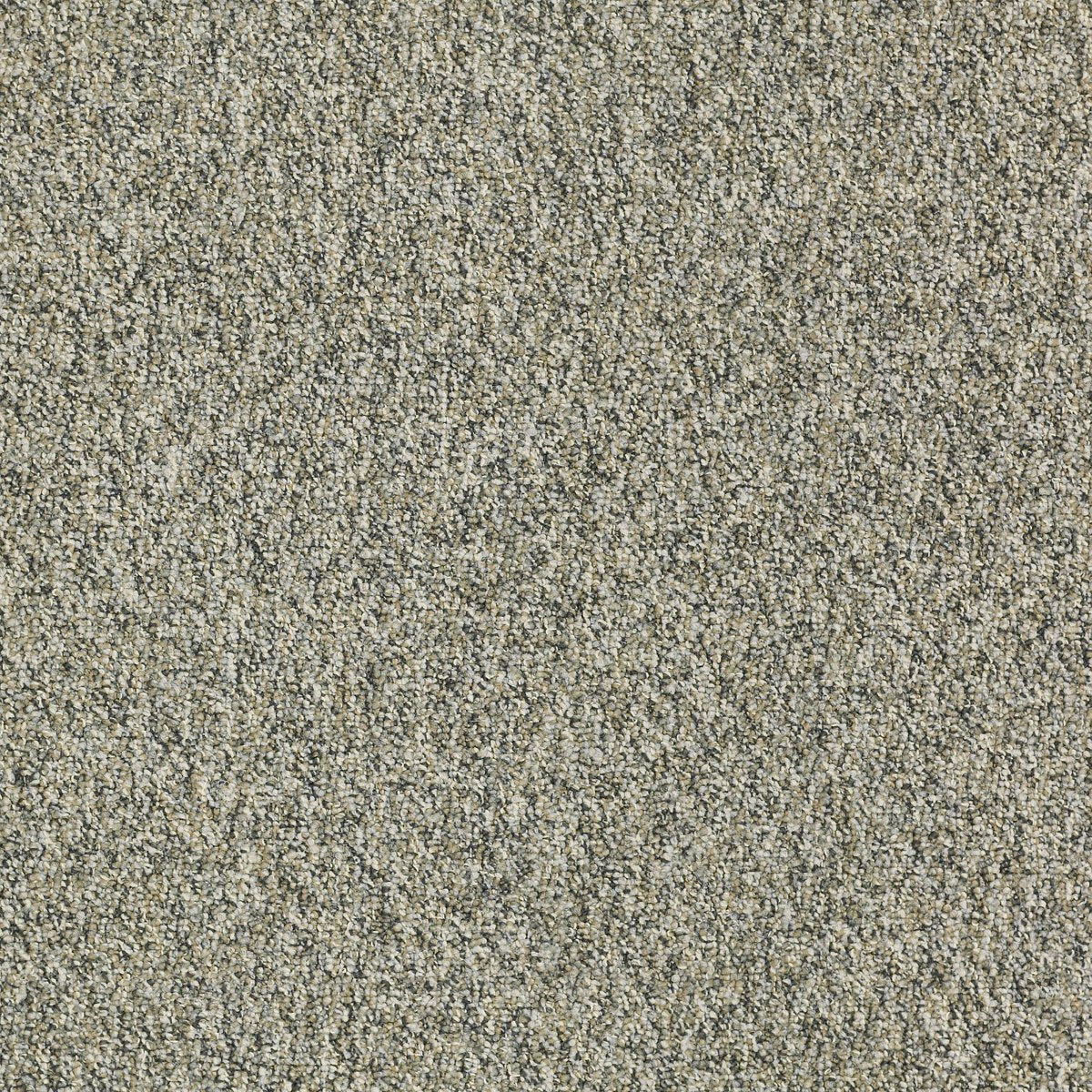 Franchise II 28 Brazed Steel 00505