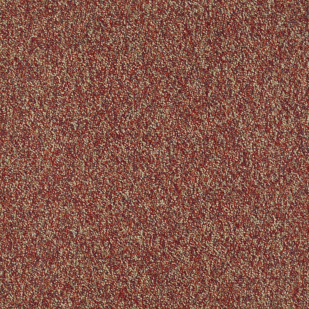Franchise II 28 Raisinberry 00820