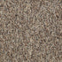 Franchise II 28 Riverrock 00720