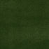 Free Time Unitary Field Green 00300