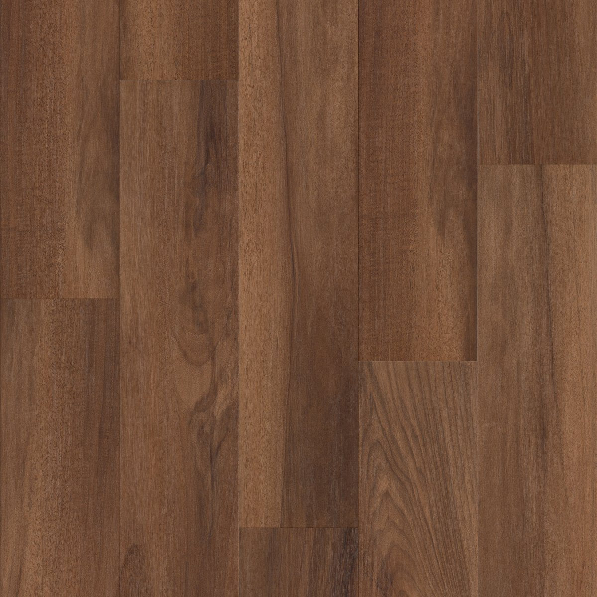 Frontier Plus Amber Oak 00820