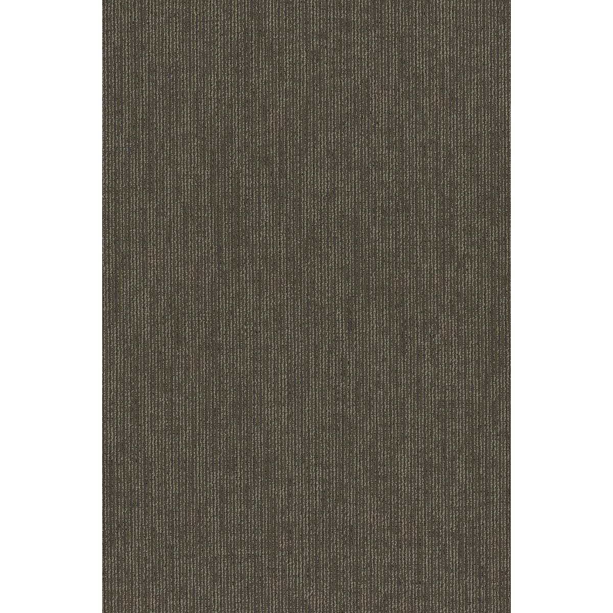 Function Conservative 00700