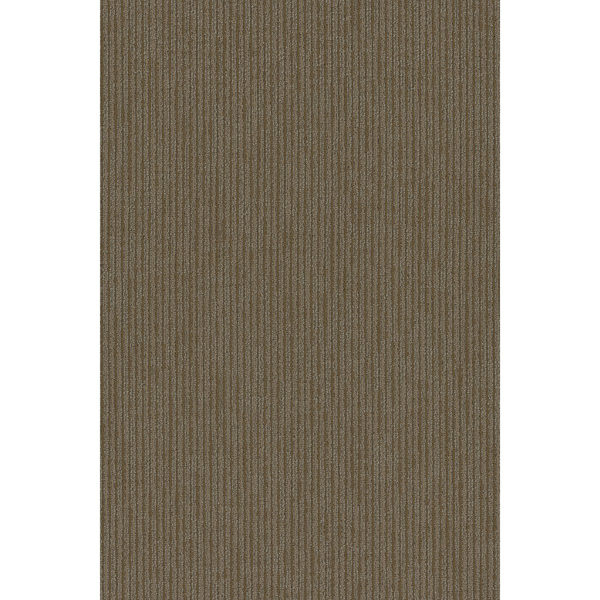 Function Corporation 00210