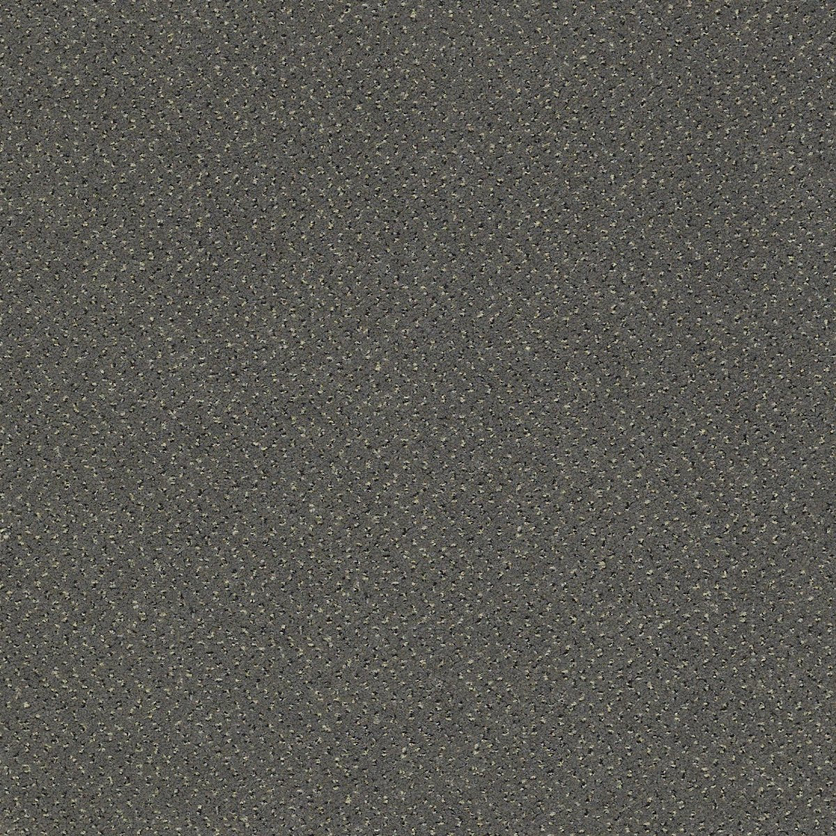 Future Generations Era 44501