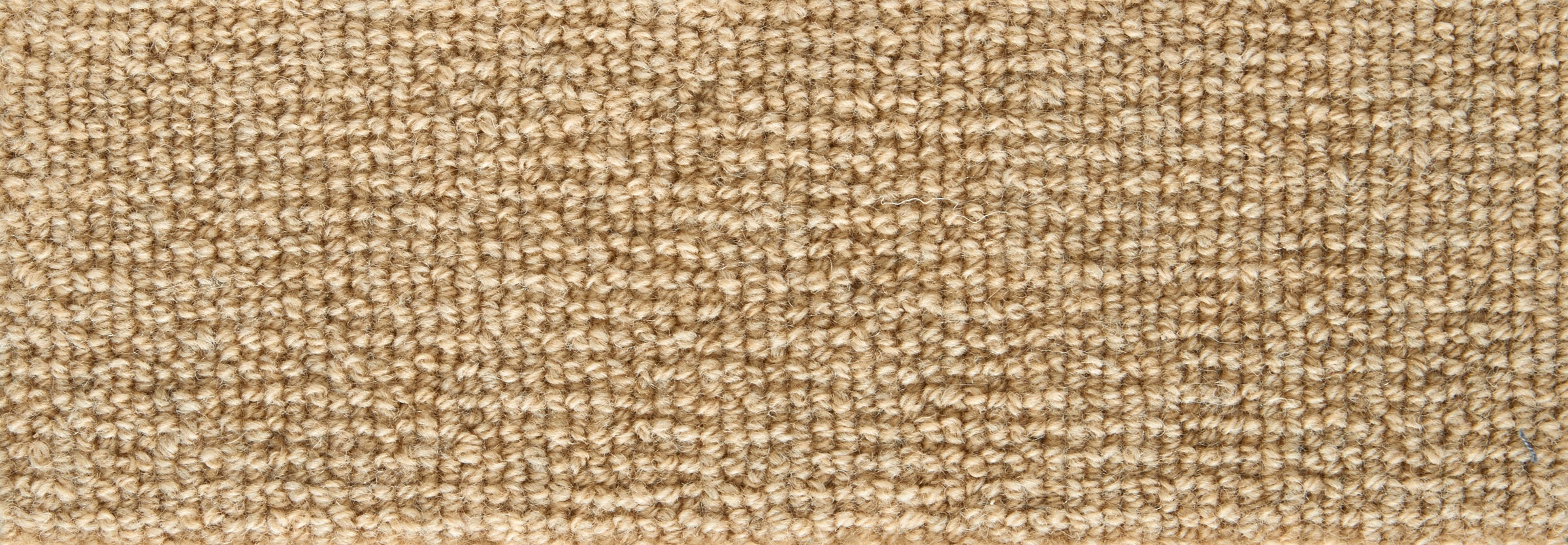 20802 Beige Stanton Broadloom Wool Carpet Forester – 13 ft 2 in wide - GreenFlooringSupply.com