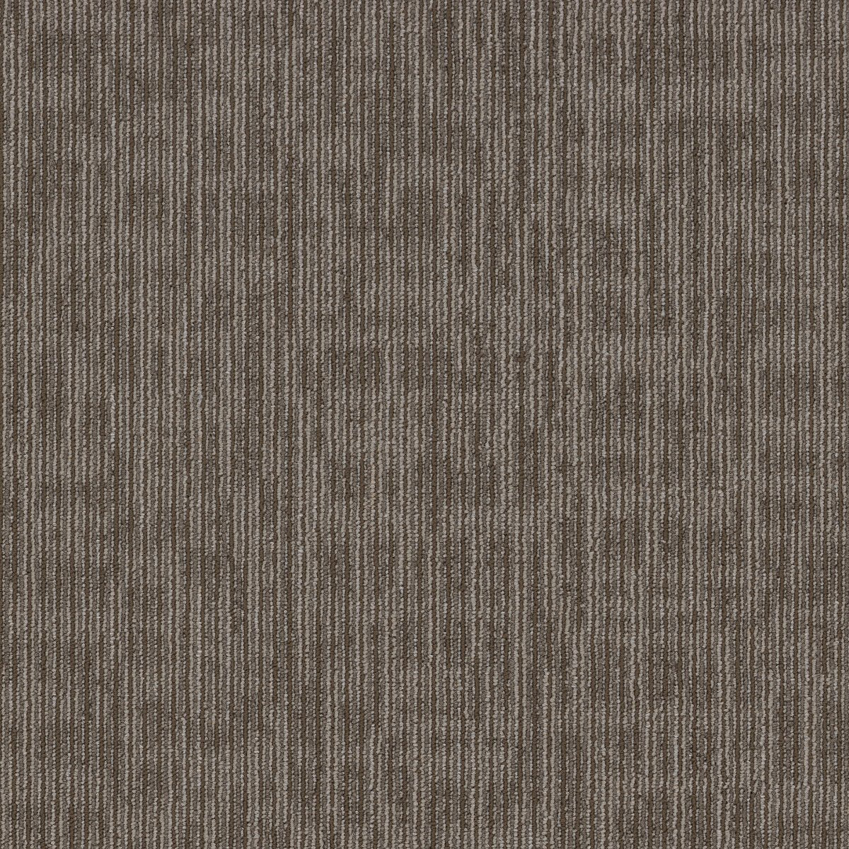Genius Scholarly 44705