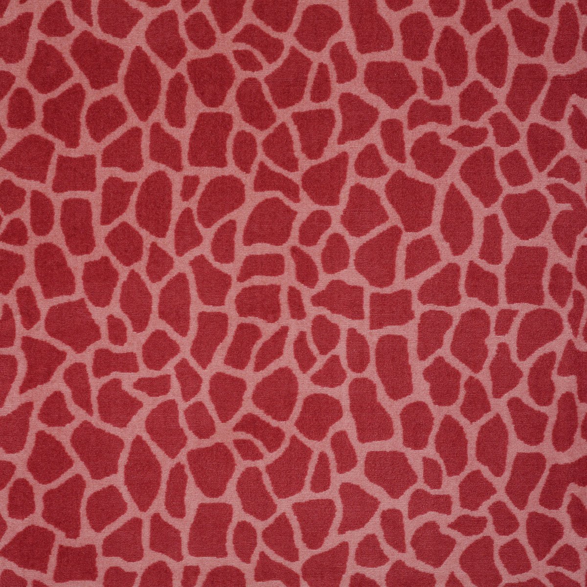 Giraffe Girly Giraffe 07802