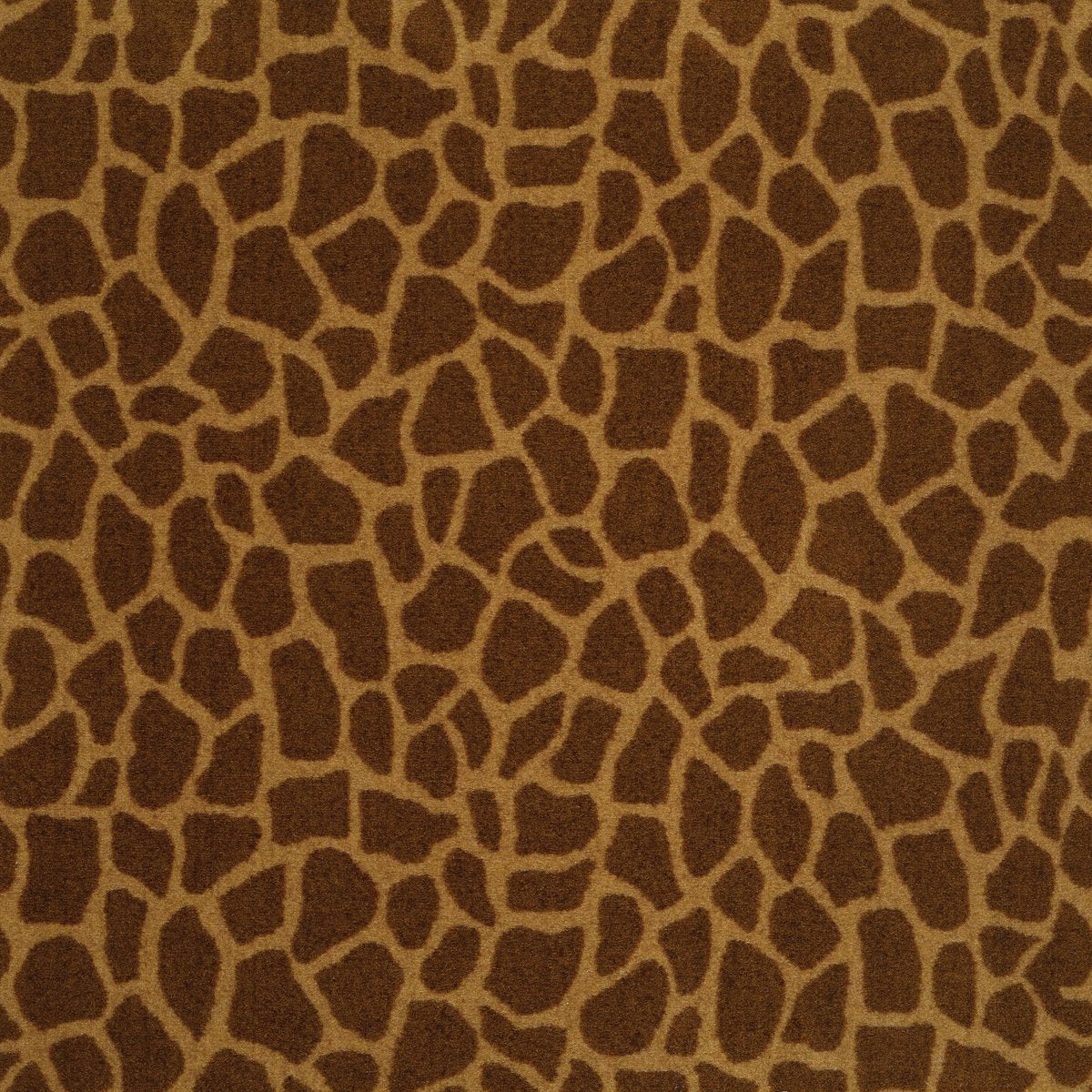 Giraffe Tip Top 07100
