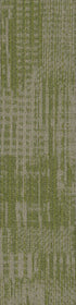 Harmony Emphasis 00300
